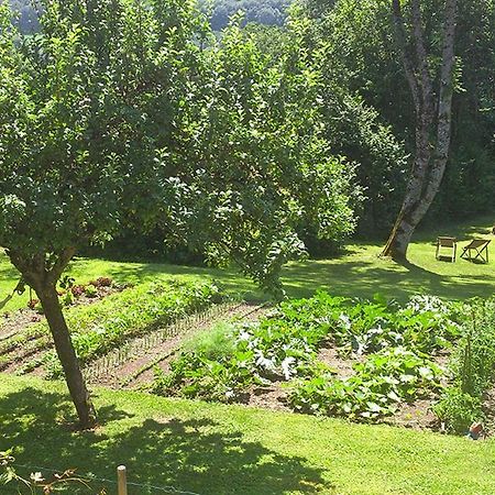 Saint-Paul-en-Chablais 루세리 비앤비 B&B 외부 사진