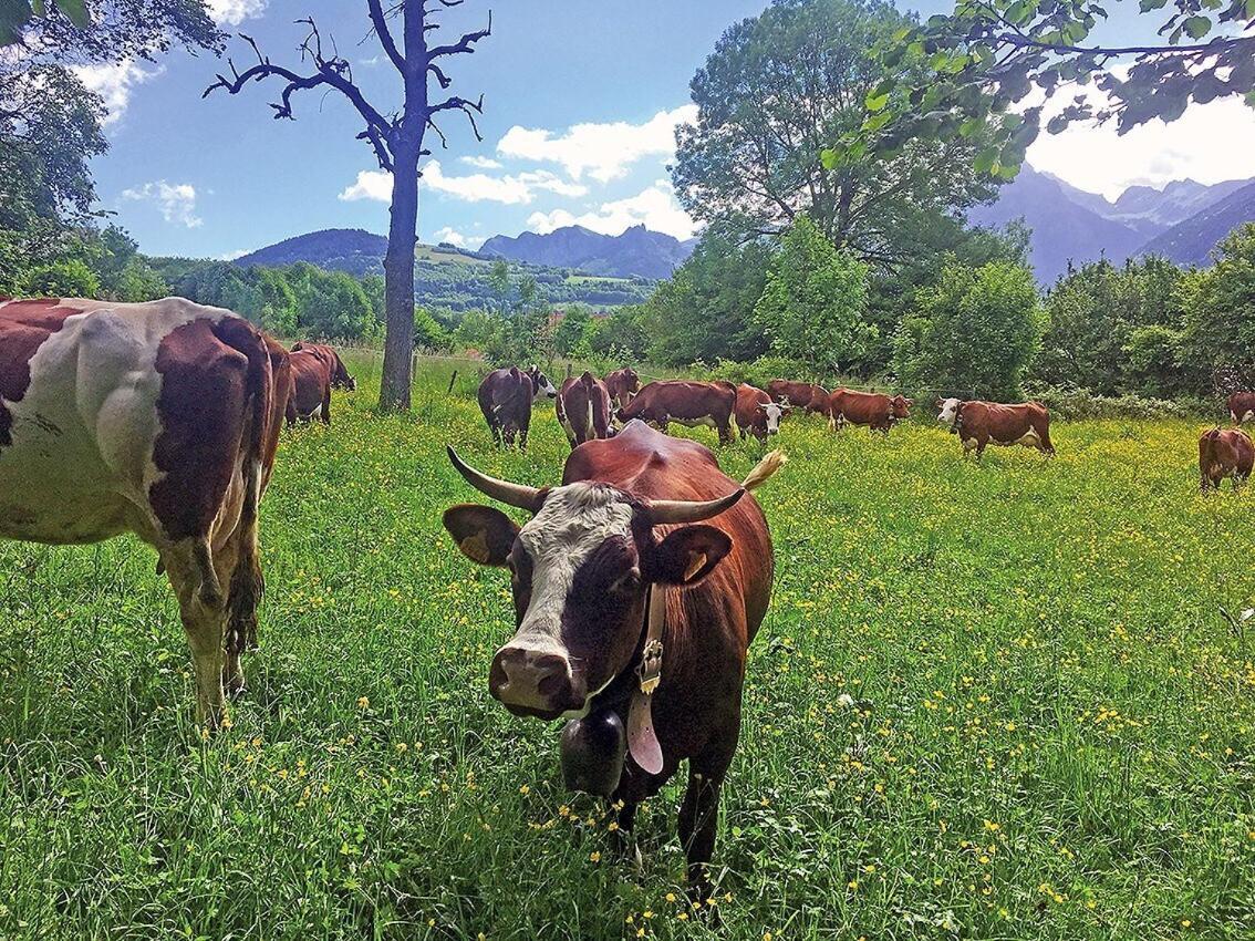 Saint-Paul-en-Chablais 루세리 비앤비 B&B 객실 사진